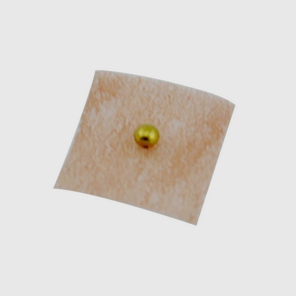 Magnet-Ohrsamen Synergi gold 100 Stück